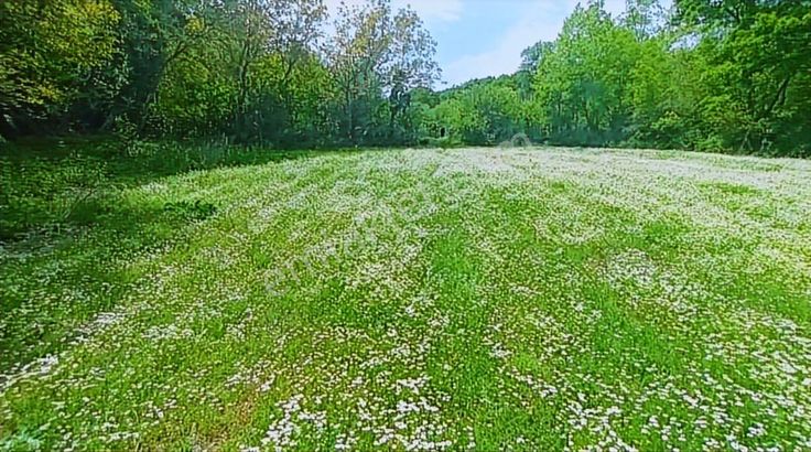 Çanakkale Lapseki Güreci Satılık Tarla Köye 300 Mt Mesafede