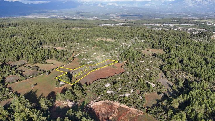 Yatırım Ve Hobi İçin Müstakil Tapulu 9549 M2 Tarla