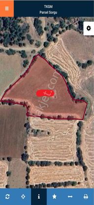 Akalanda Verimli Sulak 7 Dönüm Satılık Tarla