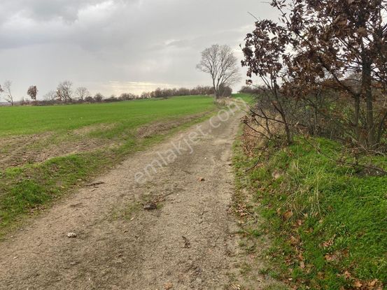 Kadastral Yolu Var, Fiyatı Uygun Tutulmuştur