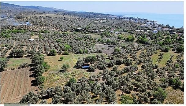 Çanakkale Alemşah Yeni Açılacak Asos Sahil Yoluna Yakın Satılık