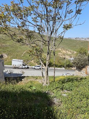 İzmir Karabağlar'da Yatırım Fırsatı: 143 M² Müstakil Arsa!