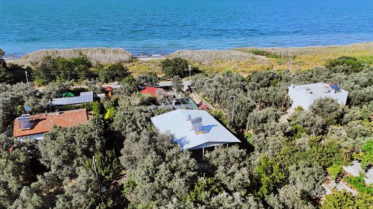 Realty Nexus'dan İznik Göllüce'de Fırsat Arazi