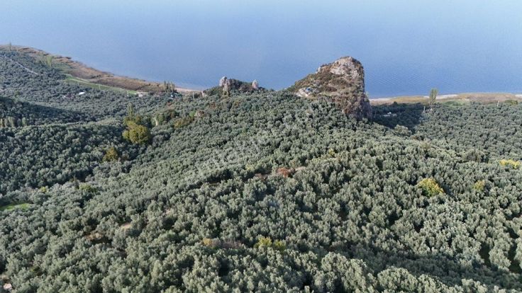 Her Sabah Göl Manzarasıyla Uyanın Müşkülede Doğanın Kalbinde