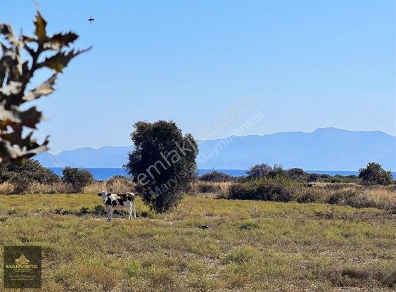 Muğla Datça Kızlan Mahallesi'nde Geleceğe Yatırım Fırsatı