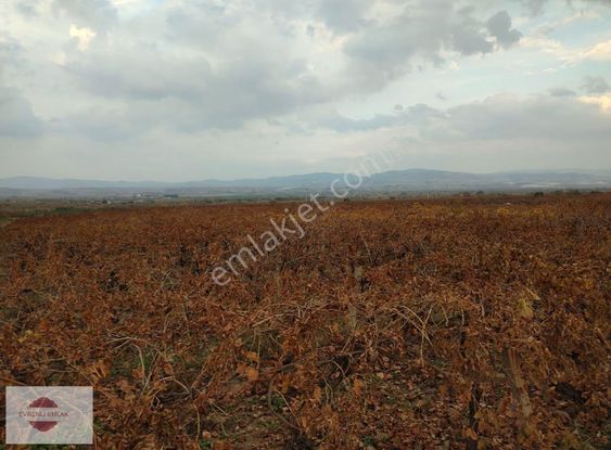 Evrenli Group'dan Satılık Müstakil Tek Tapu Bağ