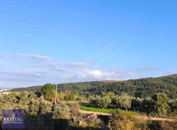 Rs Mutlu Hasanağa'da Doğa Manzaralı 2+1 Ara Kat Satılık Daire