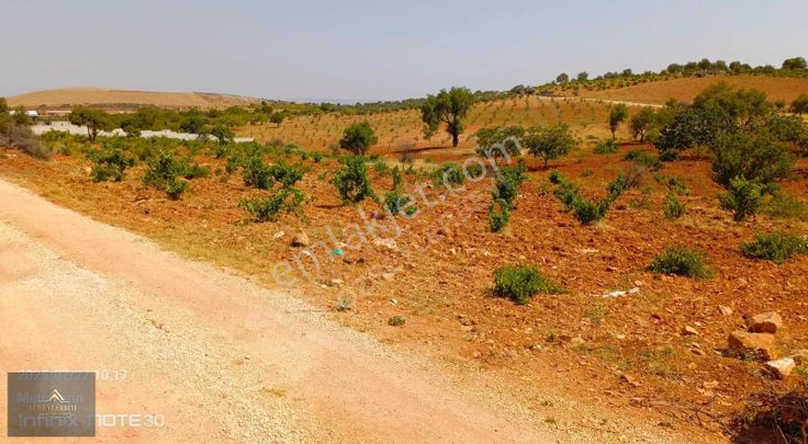 Suboğaz Sınırında Satlık Küçük Parça