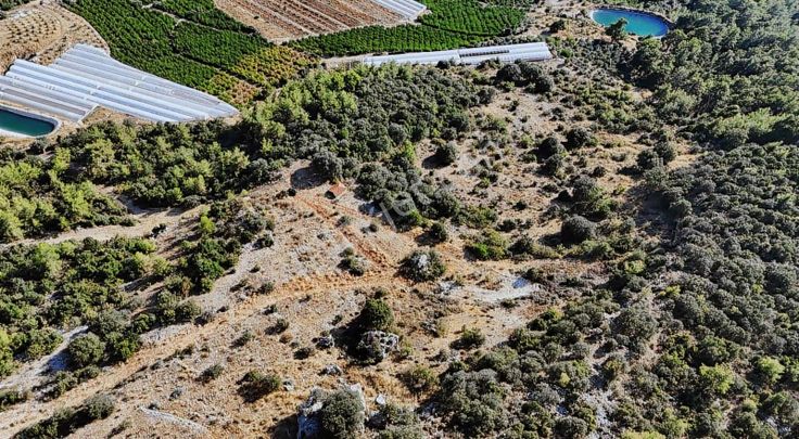 07 Truva Emlaktan Finike Yalnız Da Satılık Doğa Manzaralı Tarla