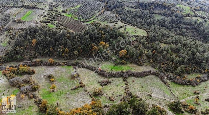 Arabacıbozköy'de Satılık Tarla
