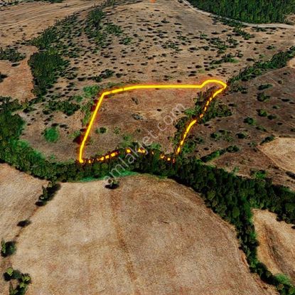 Karameşe De Geleceği Şimdiden Yakalayacağınız Fırsat Tarla