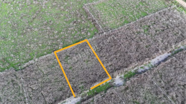 İzmir Menderes Şaşalda 300 M2 Hisse Tapulu Rızayı Taksimli Arsa