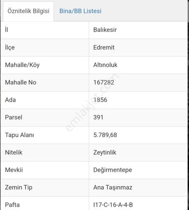Kadastral Yolu Bulunan Manzaralı 5700 Metrekare Zeytinlik