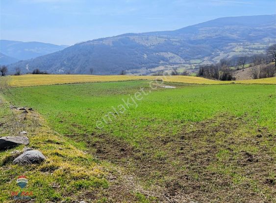 Remax Modern Yunus Emre'den Satılık Çatmaoluk'da Tarla