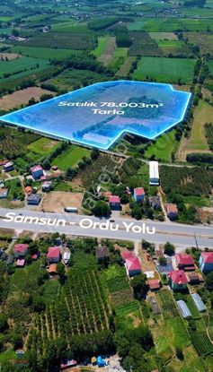 Tek Tapu 78000 Metrekare