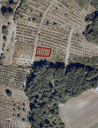 Taflan' Da 4 Kat İmarlı Arsa