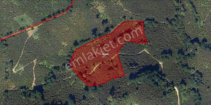 Ordu Altınordu Burhanettin'de Satılık Fındık Bahçesi