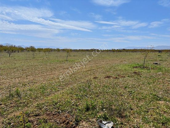 Coldwell Banker Safir'den Akçadağ Da Satılık Tarla