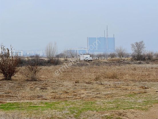 Coldwell Banker Safir'den Bulgurlu Da 1200 M2 Satılık Tarla