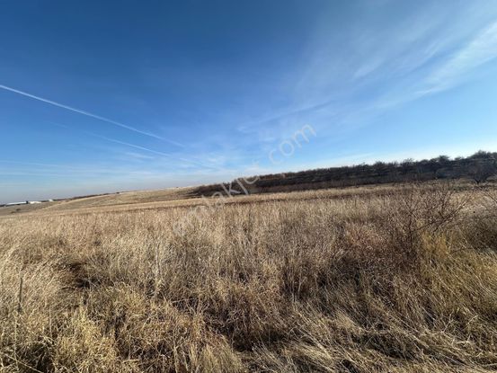 Coldwell Banker Safir'den Bulgurlu Da 900 M2 Satılık Bahçe