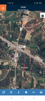 İznik Çiçeklide Asfalta Yakın Arazi