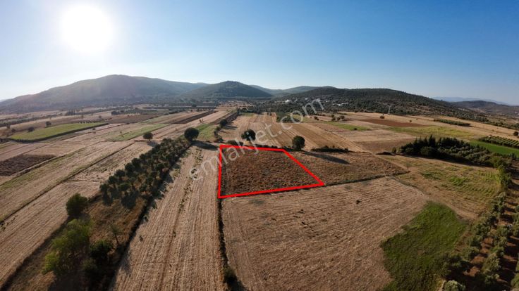 Bodrum Sazköy Su Sorunu Yok, Yola Yakın 3185 M² Tarım Arazisi