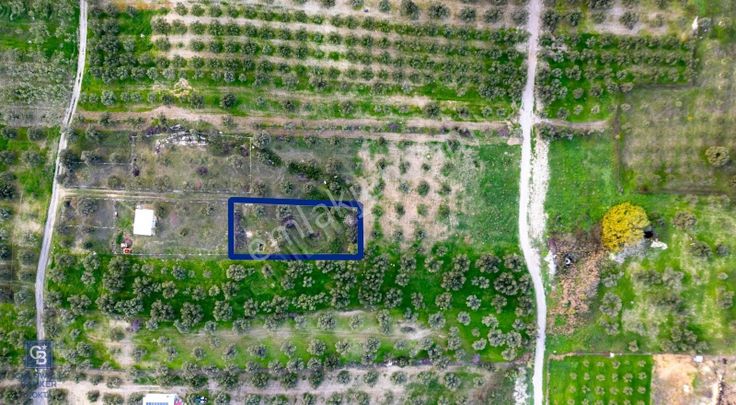 Foça Gerenköy'de Satılık Tarla