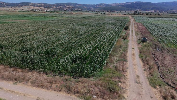 Mir'den Balıkesir /gökçeyazı/orta Mah.de 7.769 M2.sulu Tarla