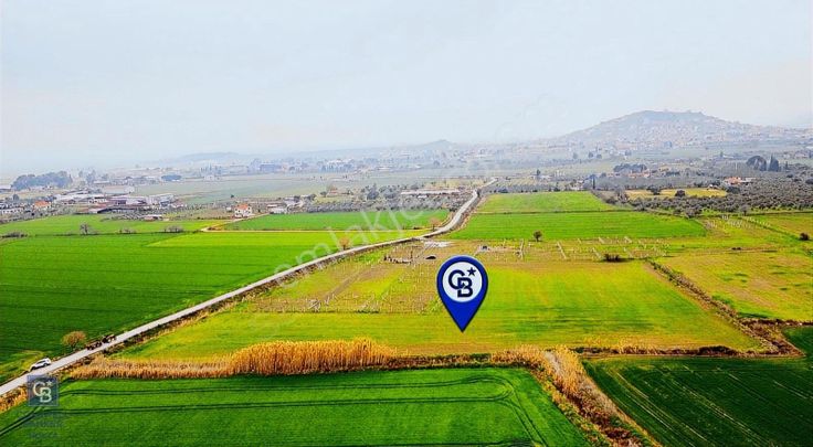 İzmir Foça Hacıveli Mahallesinde Satılık Tarla