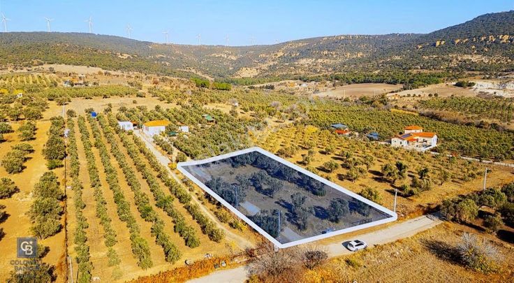Foça Kocamehmetler'de Yol Üzeri Satılık 2 Dönüm Tarla