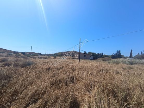 Taş Emlak'tan Badavutta 550m2 Arsa