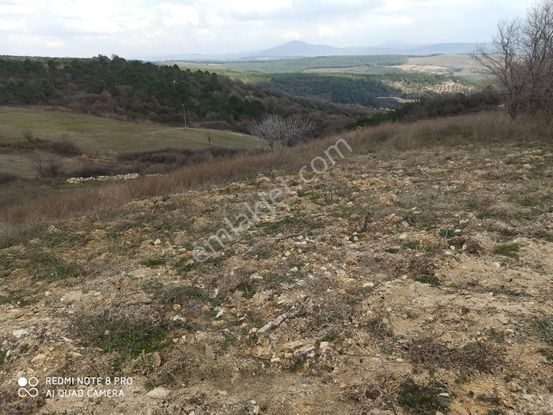 Sahibinden Asfalt Yolu Olan Tek Tapu Manzaralı Verimli Tarla