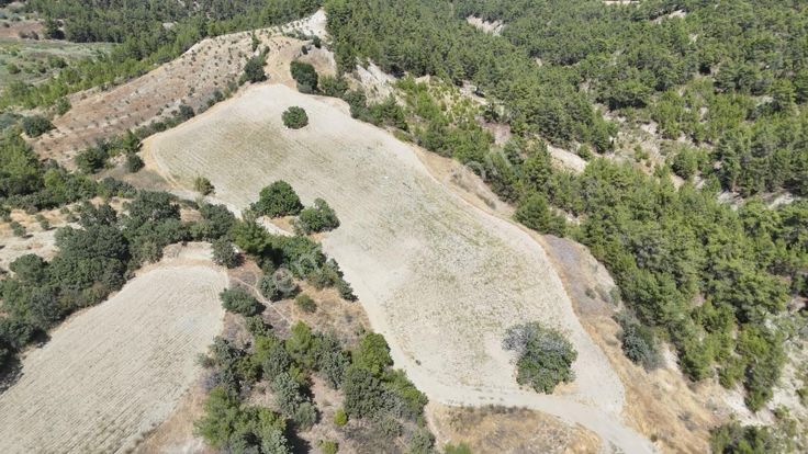 Denizli Kale Ortaköy'de Yatırımlık Fırsat Tarla!!!