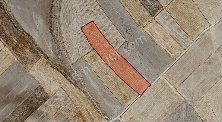 Afyon Emirdağ Örenköy De Kadastral Yola Cepheli Fırsatt !!