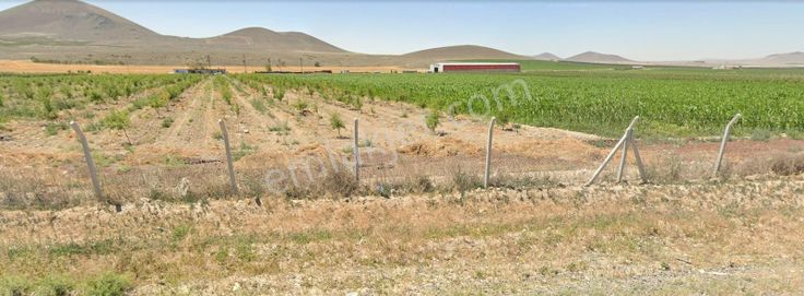 Acil! Konya Ereğli Kutören, Elma Bahçeleriyle Çevrili Fırsat