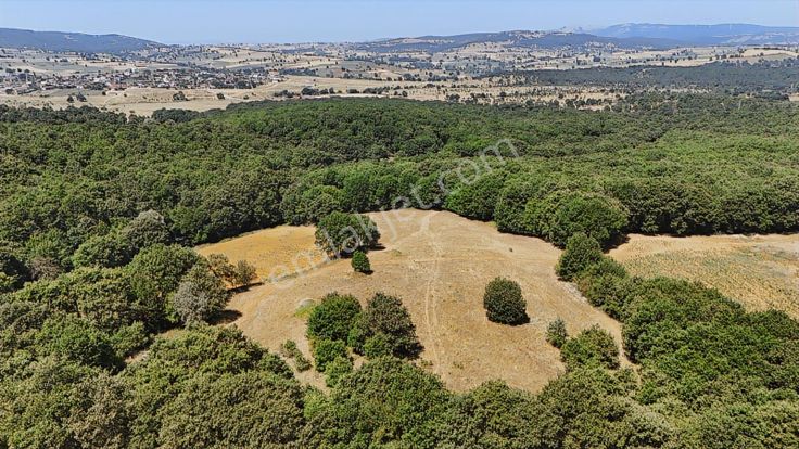 Balıkesir Susurluk Reşadiye'de Yatırımlık Fırsat Arazi !!!