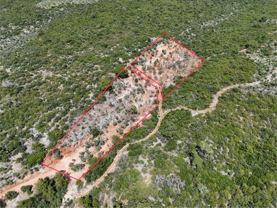 Milas'ta Havalimanı Ve Doğa Manzaralı Muhteşem Zeytin Arazisi