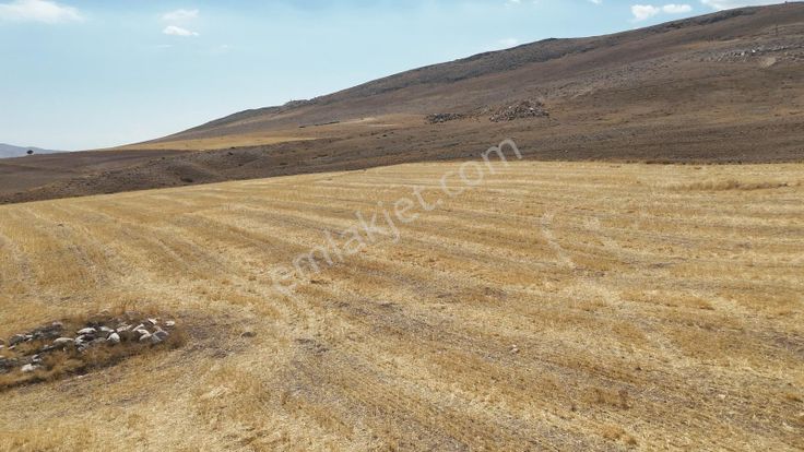 Eskişehir Sivrihisar Babadatta 15.360 M² Yatırımlık Arazi