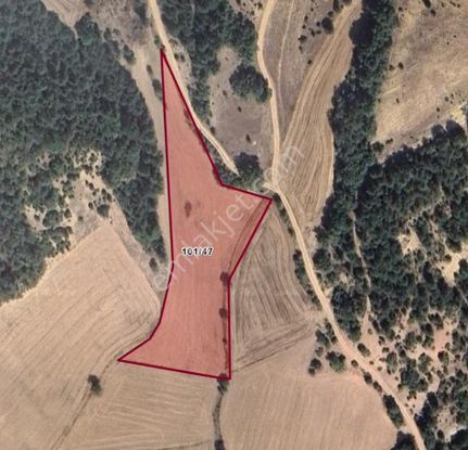 Köybaşında Yatırımlık Köye Yakın Arazi