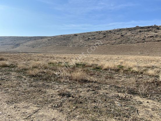 Konya Tuzlukçu Koraş'nda Harika Fırsat Arazi!!!