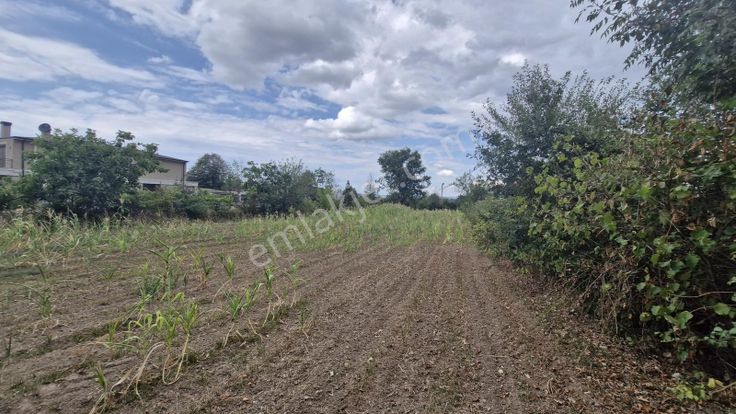 Kocaeli Kartepe Suadiye'de Villa İmarlı Satılık Fırsat Arsa!!!