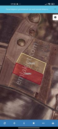 Tekirdağ Saray Kadıköy 285 M2 Yatırımlık Hisseli Tapu Fırsat Tarla