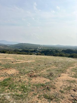 Turgutlu Satılık Arazi Musallar Yeni Köyde 750m2 Resmi Yola Cepheli