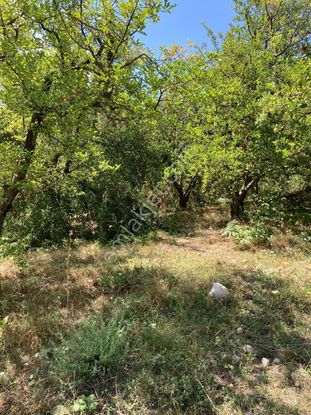 Aş Gömbe'de Konut İmarlı Satılık Müstakil Parsel