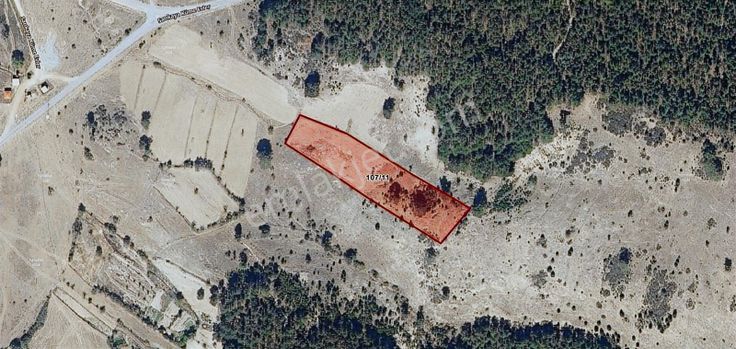 Kütahya Simav Sarıkaya'da Yatırımlık Fırsat Arazi!!!