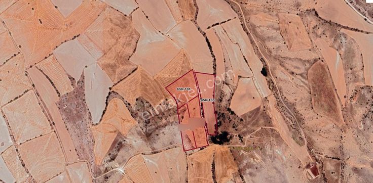 Eskişehir Günyüzü Kayakentte Yatırımlık Tarla Fırsatı!