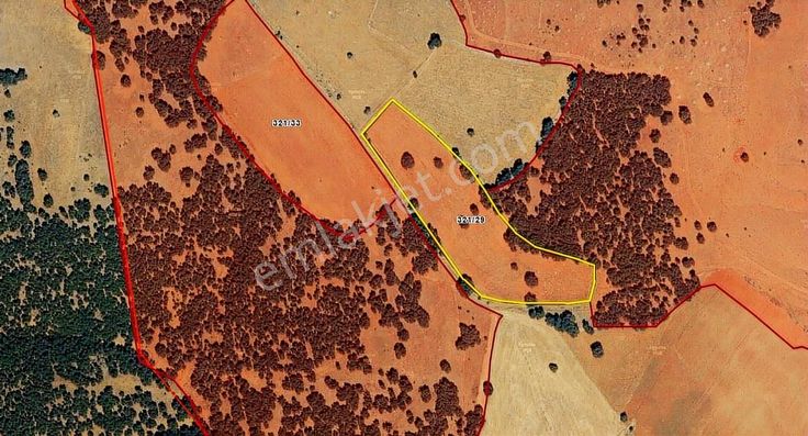 Konya Beyşehir Gökçekuyuda Fırsat Tarla
