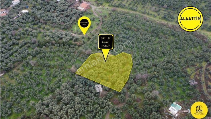 Erdek Alaettin Mahallesi Ana Caddeye Yakın 851m² Satılık Fırsat Zeytinlik