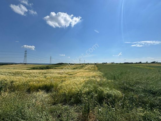 Silivri Büyükkılıçlı'da Kadastro Yola Cephe Tek Tapu Arazi