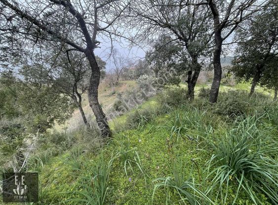 Ege Emlaktan Gökova Kızılyakada Satılık Villa Arsası